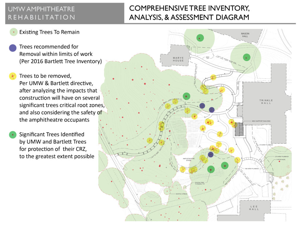 umw-amphitheatre-comprehensive-tree-inventory-analysis-and-assessment ...