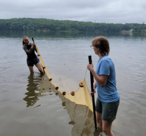 Student researchers Carolyn Willmore and Talia Tanner seine fish (a method of fishing that employs a net) for banded killfish near a Virginia power plant. They worked with Assistant Director of Earth and Environmental Sciences Tyler Frankel. #MaryWashDay #TogetherUMW