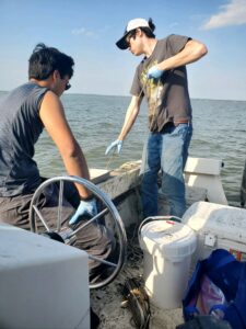 Assistant Professor of Earth and Environmental Science Tyler Frankel (left) and Joseph Gasink '26 collect samples of trace metals near a former coal-tar creosote plant in Delaware. Photo courtesy of Joseph Gasink.