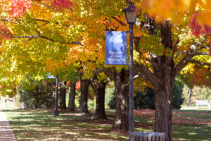 UMW Fall Branded Photoshoot 2023 photo of signpost with blue University of Mary Washington flag against maple trees on College Avenue. 