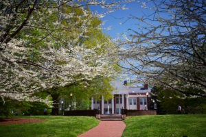 A photo of UMW's Monroe Hall in the spring with blossoms on the trees. 