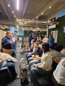 A group of people and dogs at a doggy brewery.